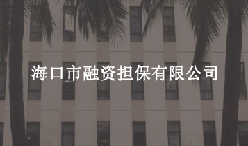 ?？谑腥谫Y擔(dān)保有限公司